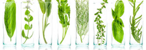 Biopur®, une formulation bio alternative
