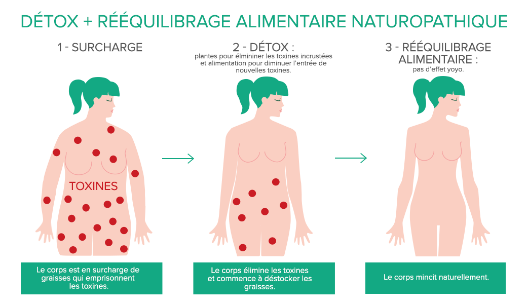cure-detox-biopur-reequilibrage-alimentaire